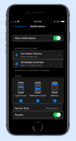 voip softphone app for finance company